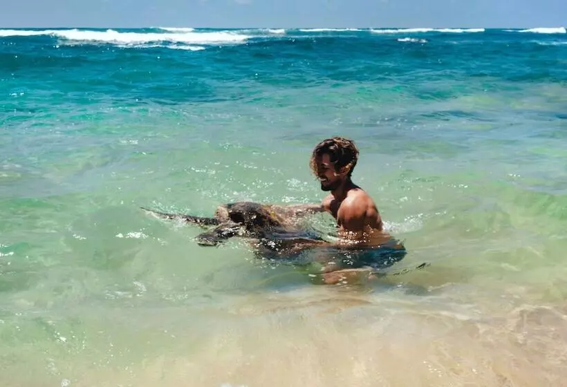 Fotos del hotel Cantaloupe Aqua:  5