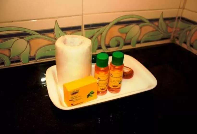 Fotos del hotel Fab Transit Delhi Airport:  4