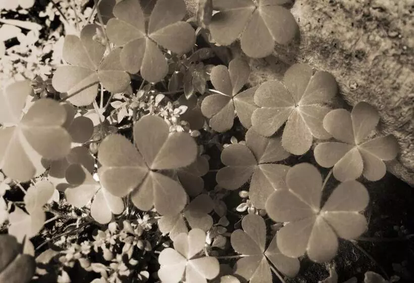 Fotos del hotel Refillnow! Hostel:  4