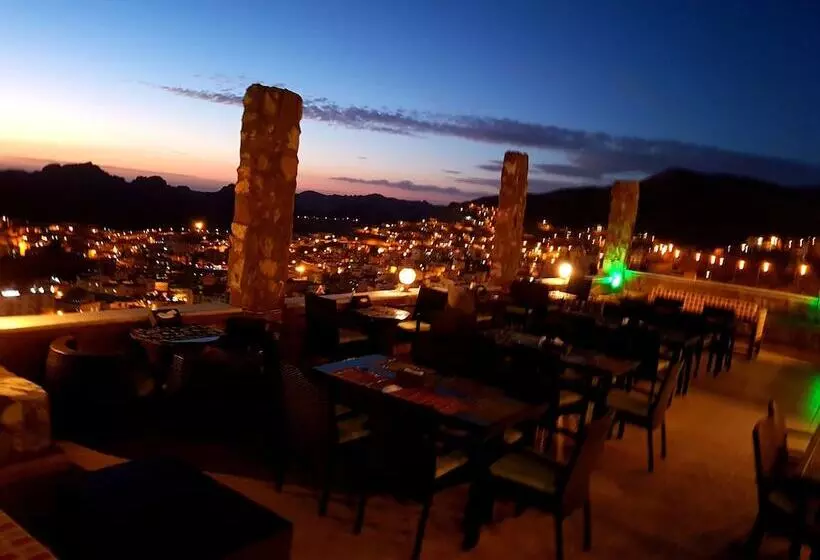 Fotos del hotel Tetra Tree:  4