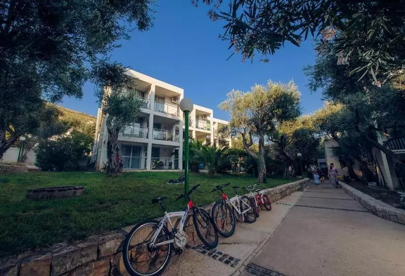 Fotos del hotel Vile Oliva  & Resort:  7