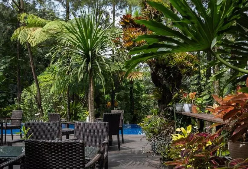 Fotos del hotel House Sangkuriang:  6