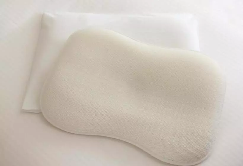 Fotos del hotel Apa  Ginzatakaracho:  17