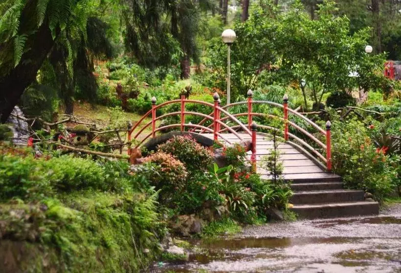 Fotos del hotel City Travel:  10