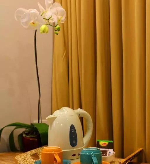 Fotos del hotel Destiny Boutique:  13