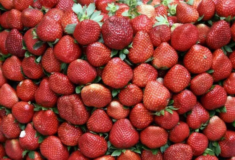 Fotos del hotel Supreme Convention Plaza:  5