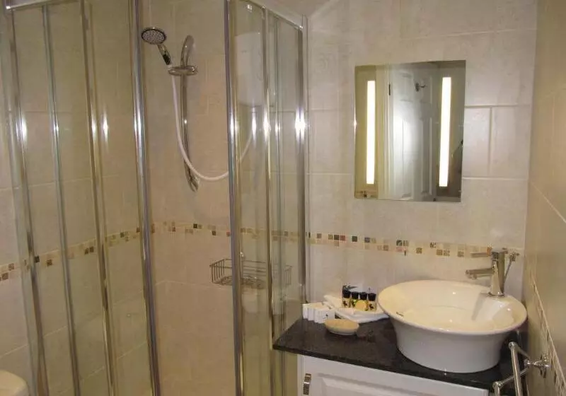 Fotos del hotel The Shirley:  5