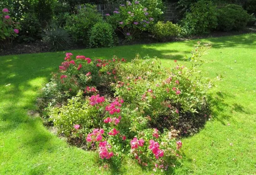 Fotos del hotel Duthus Lodge Guest House:  5