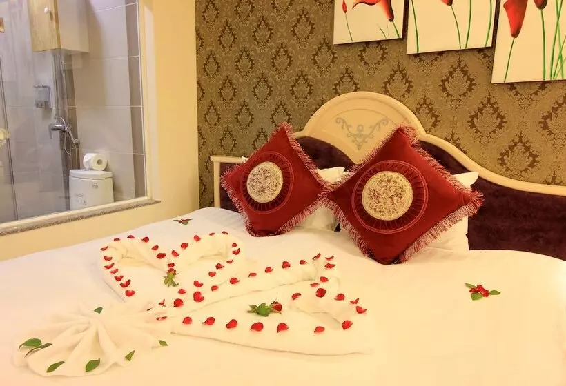 Fotos del hotel Splendid Star Boutique:  14