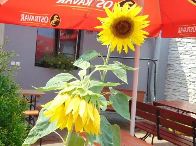 Fotos del hotel Isora:  6