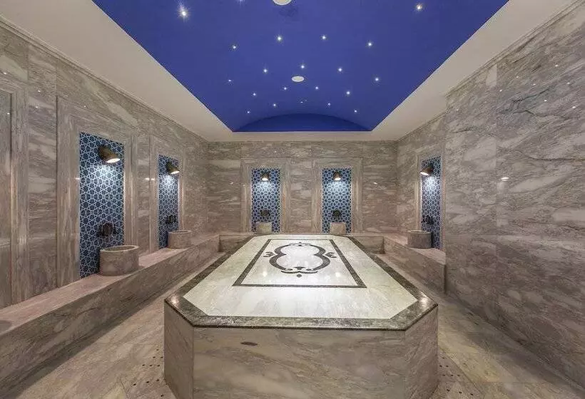 Fotos del hotel Seven Seas Sealight Elite:  4