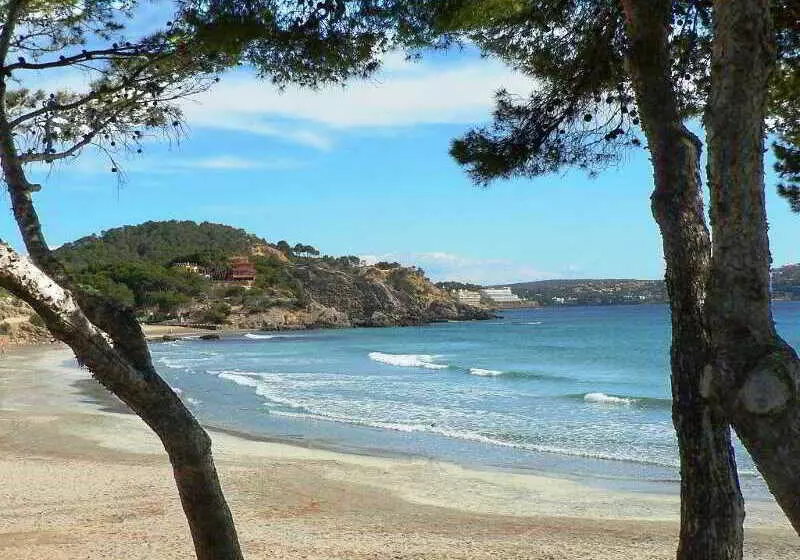 Fotos del hotel Bella Colina I Vintage Hotel 1953:  14