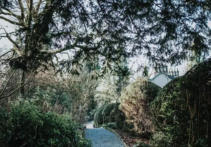 Fotos del hotel Briery Wood:  3