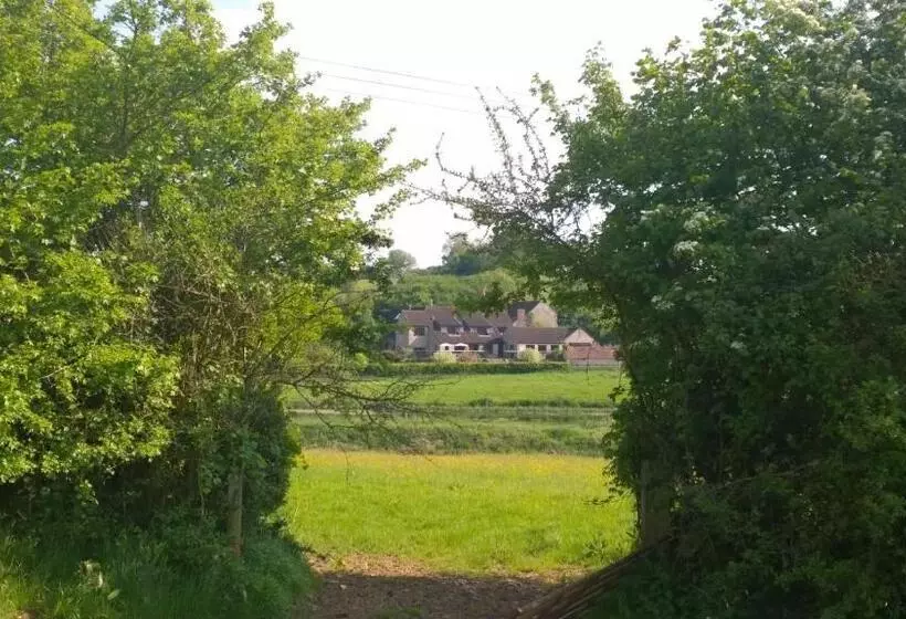 Fotos del hotel Cameley Lodge:  4