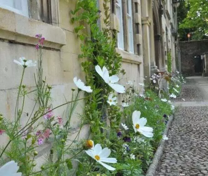 Fotos del hotel Christ's College Cambridge:  13