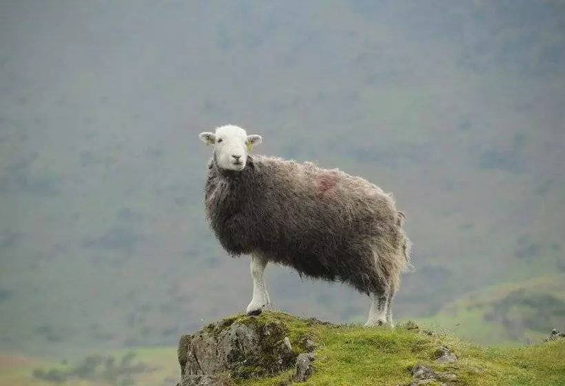 Fotos del hotel Haisthorpe Guest House:  11