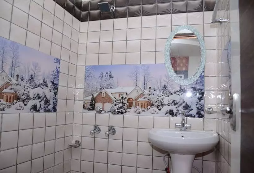 Fotos del hotel Robin:  9