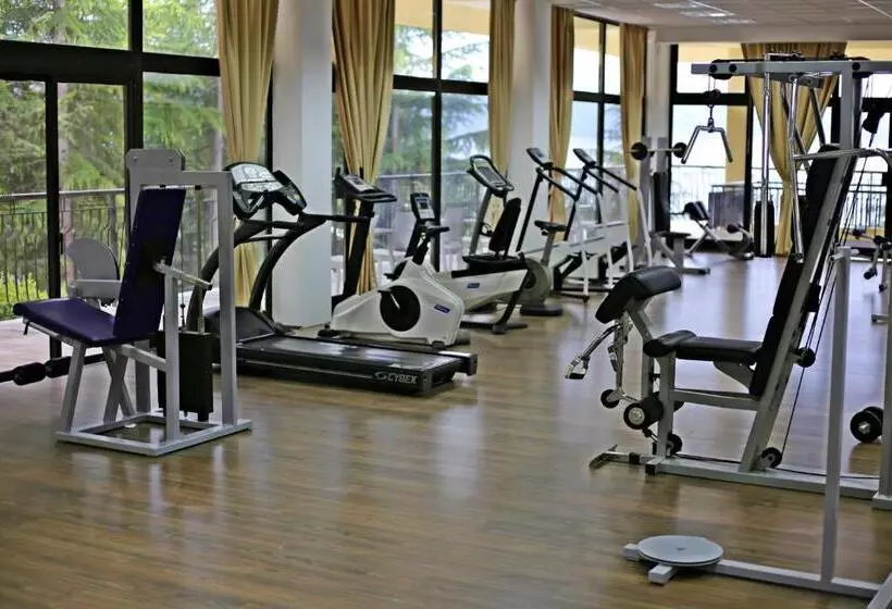 Fotos del hotel Bellevue  Metropol Lake Resort:  2