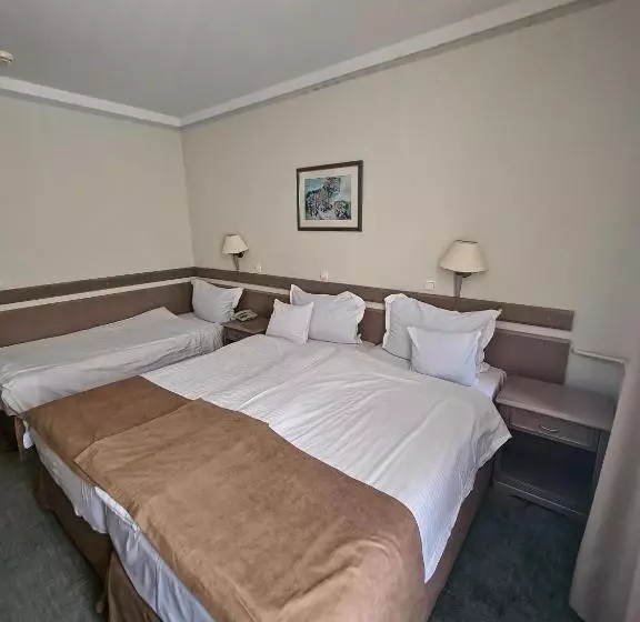 Fotos del hotel Bellevue  Metropol Lake Resort:  16