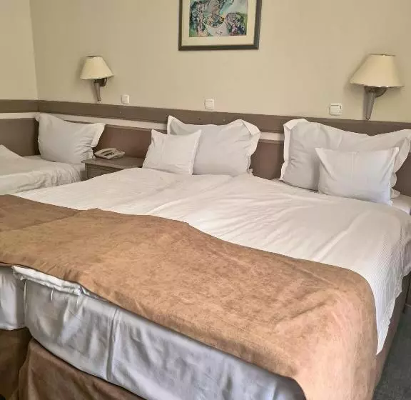 Fotos del hotel Bellevue  Metropol Lake Resort:  17