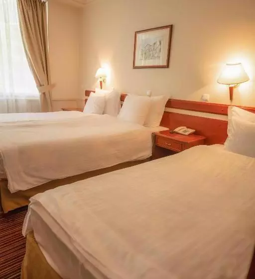 Fotos del hotel Bellevue  Metropol Lake Resort:  18