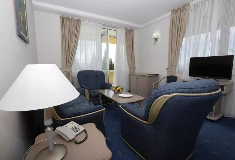 Fotos del hotel Bellevue  Metropol Lake Resort:  25