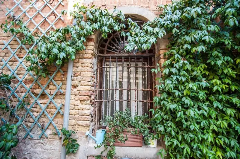 Fotos del hotel 3749 Pontechiodo:  5