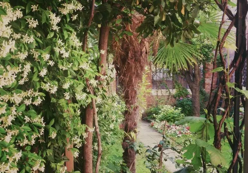 Fotos del hotel 3749 Pontechiodo:  8