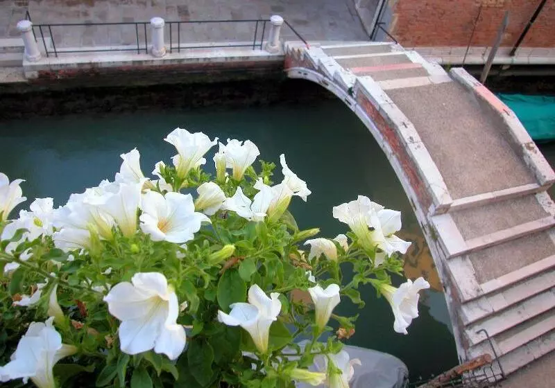 Fotos del hotel 3749 Pontechiodo:  4