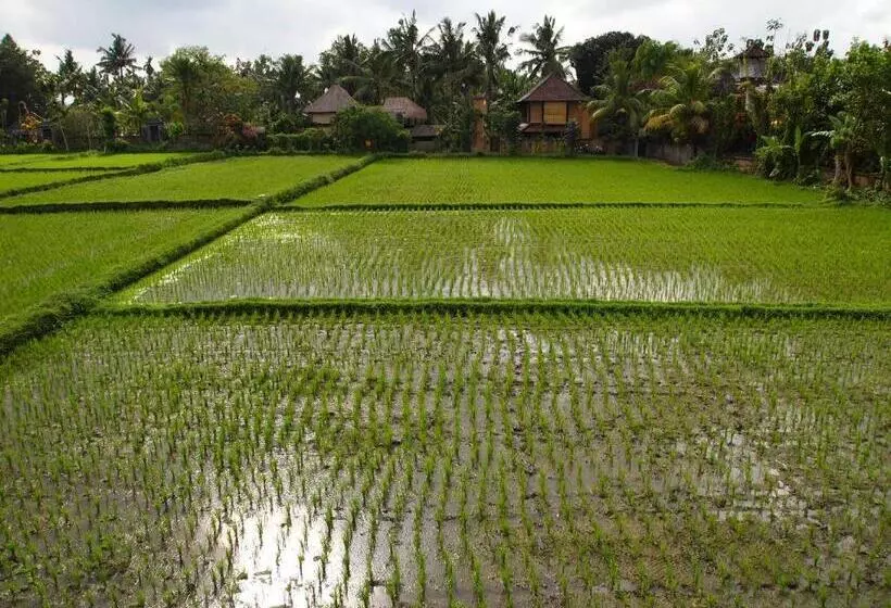 Fotos del hotel Saren Indah:  20