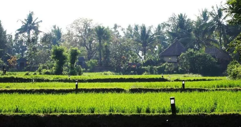 Fotos del hotel Saren Indah:  7