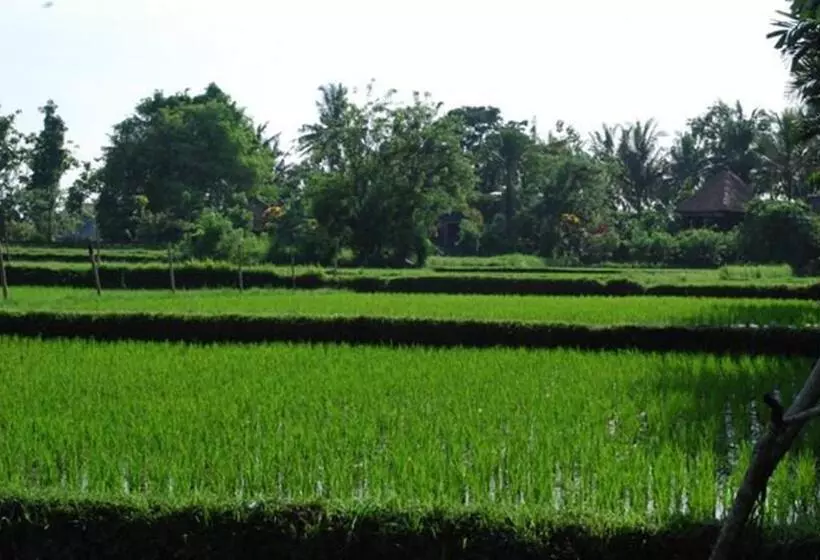 Fotos del hotel Saren Indah:  25