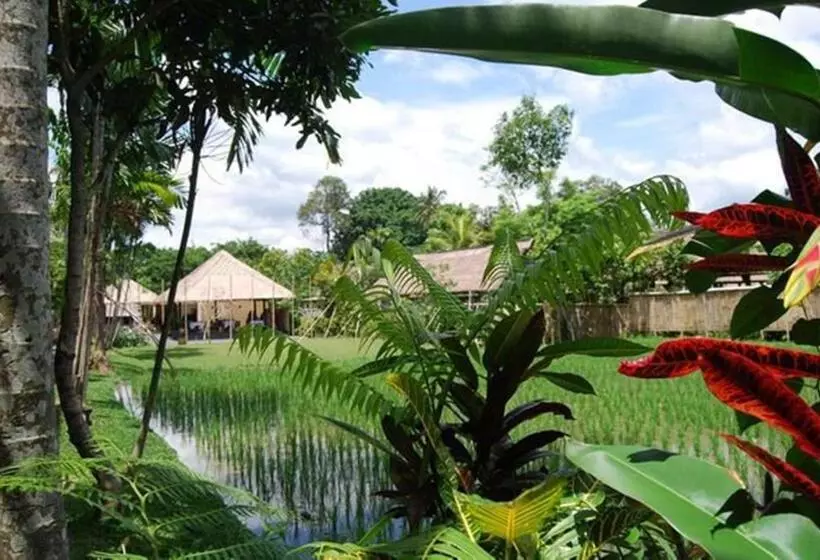 Fotos del hotel Saren Indah:  24