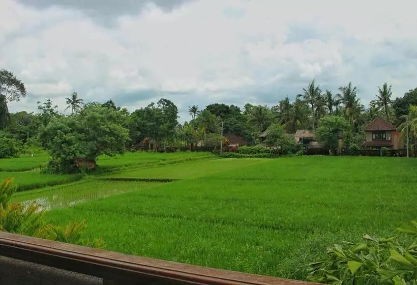 Fotos del hotel Saren Indah:  17