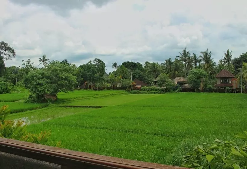 Fotos del hotel Saren Indah:  17