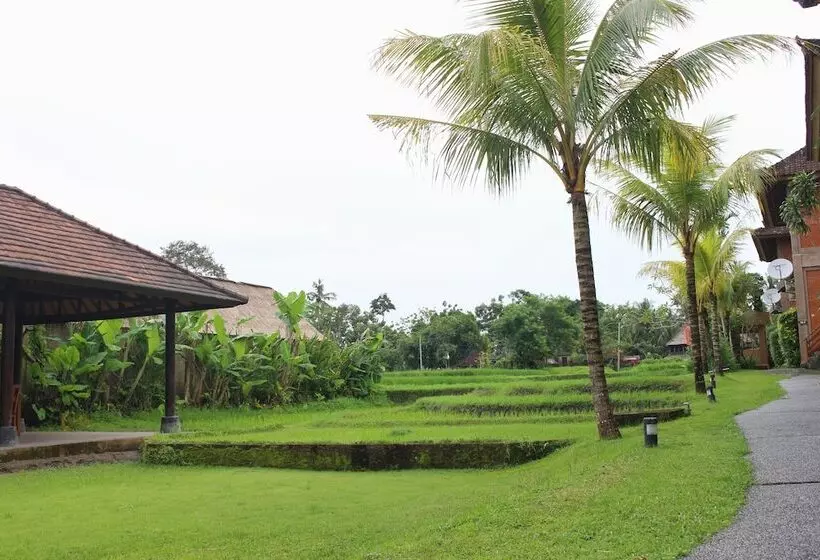 Fotos del hotel Saren Indah:  19