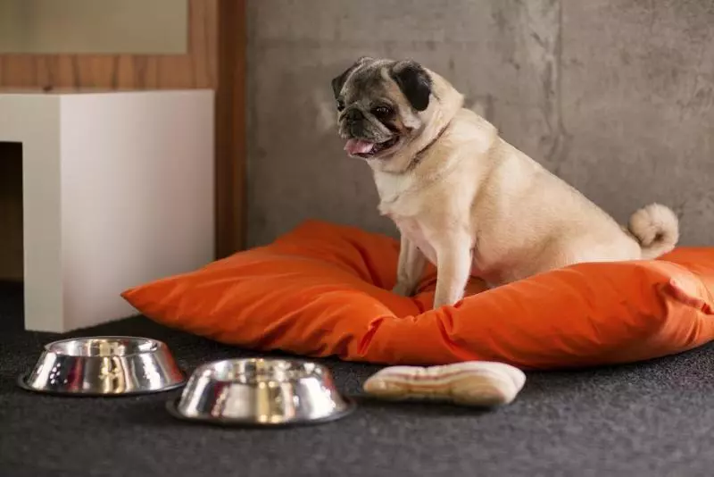 Fotos del hotel Hôtel Alt Montréal:  16