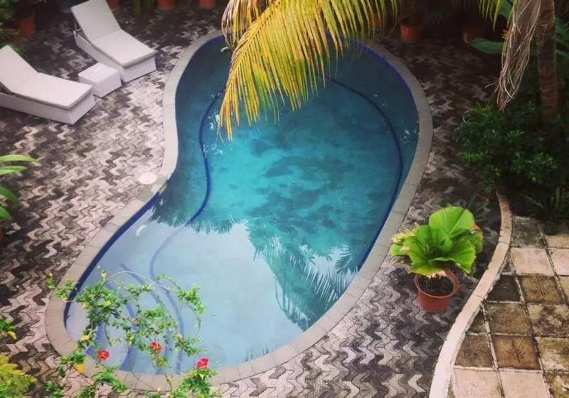 Fotos del hotel Le Alaimoana:  6