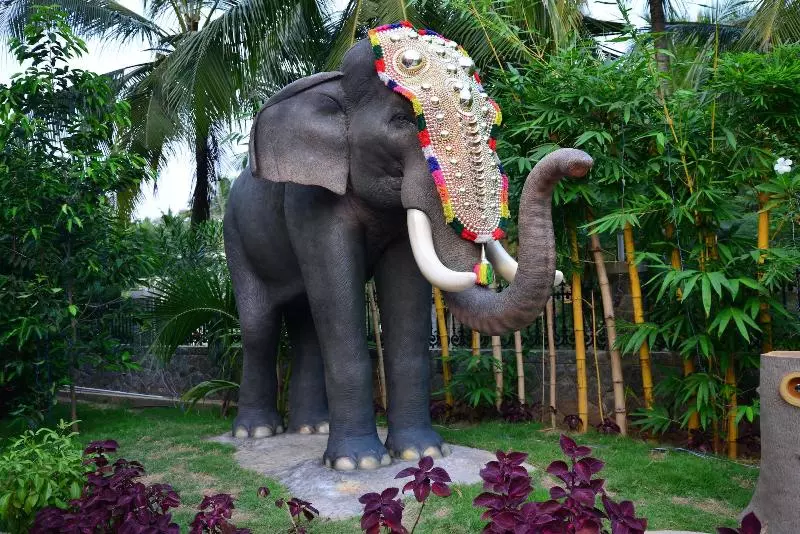 Fotos del hotel Uday Suites  The Airport:  17