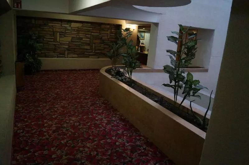 Fotos del hotel Villa De Madrid:  4