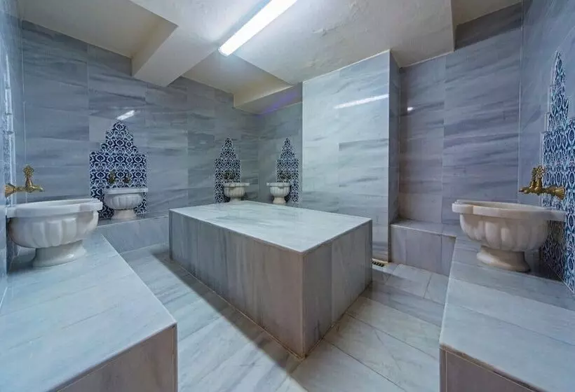 Fotos del hotel Lausos Palace:  8