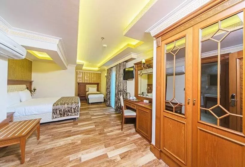 Fotos del hotel Lausos Palace:  25