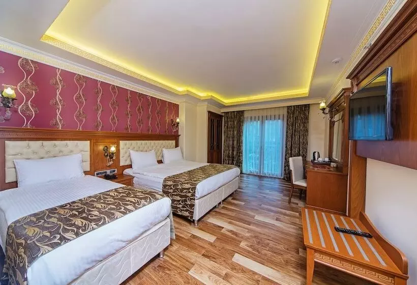 Fotos del hotel Lausos Palace:  7