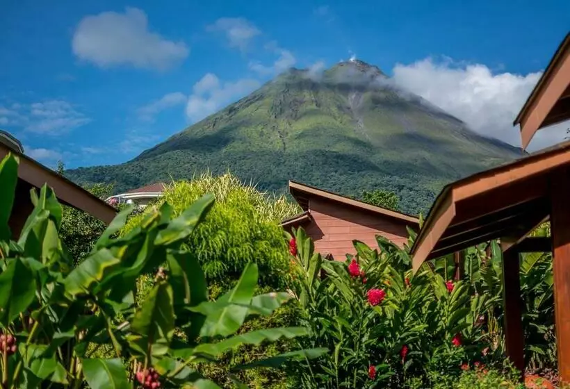 Fotos del hotel El Silencio Del Campo:  14