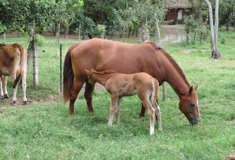 Fotos del hotel El Silencio Del Campo:  21