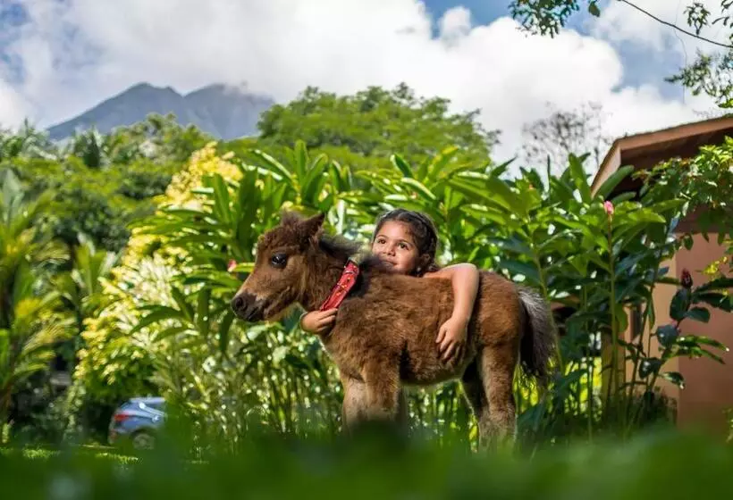 Fotos del hotel El Silencio Del Campo:  9
