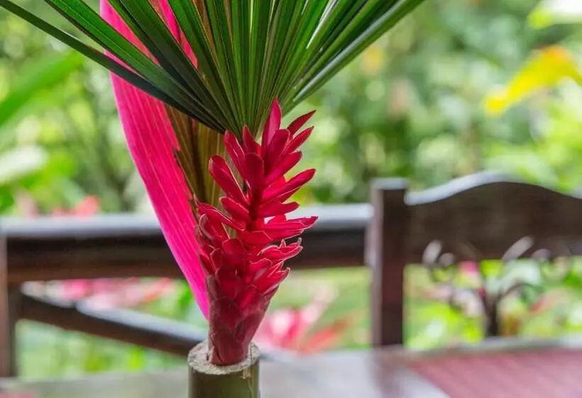 Fotos del hotel Kokoro Mineral Hot Springs:  24