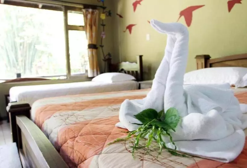 Fotos del hotel Kokoro Mineral Hot Springs:  16