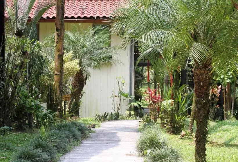 Fotos del hotel Kokoro Mineral Hot Springs:  19