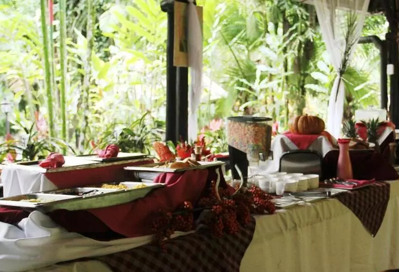 Fotos del hotel Kokoro Mineral Hot Springs:  12